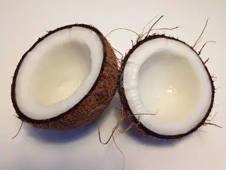 coconut cracked in half