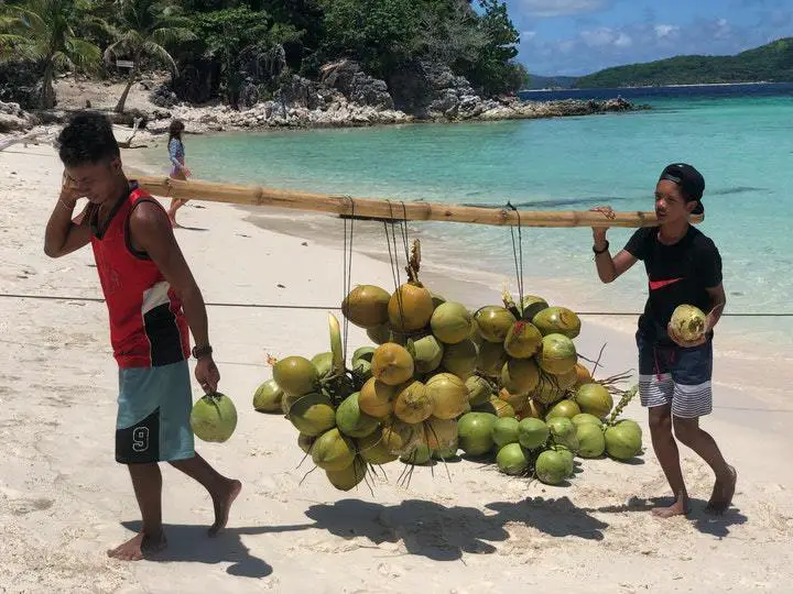 men carrying coconuts