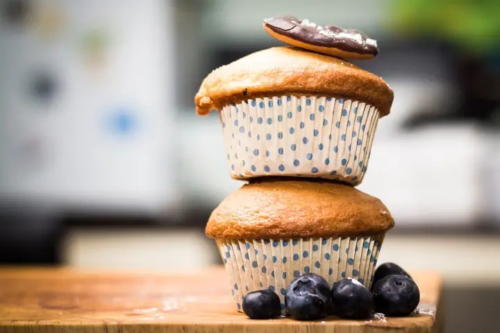 coconut flour blueberry muffins
