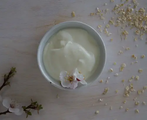 Yogurt Served In A Ceramic Cup